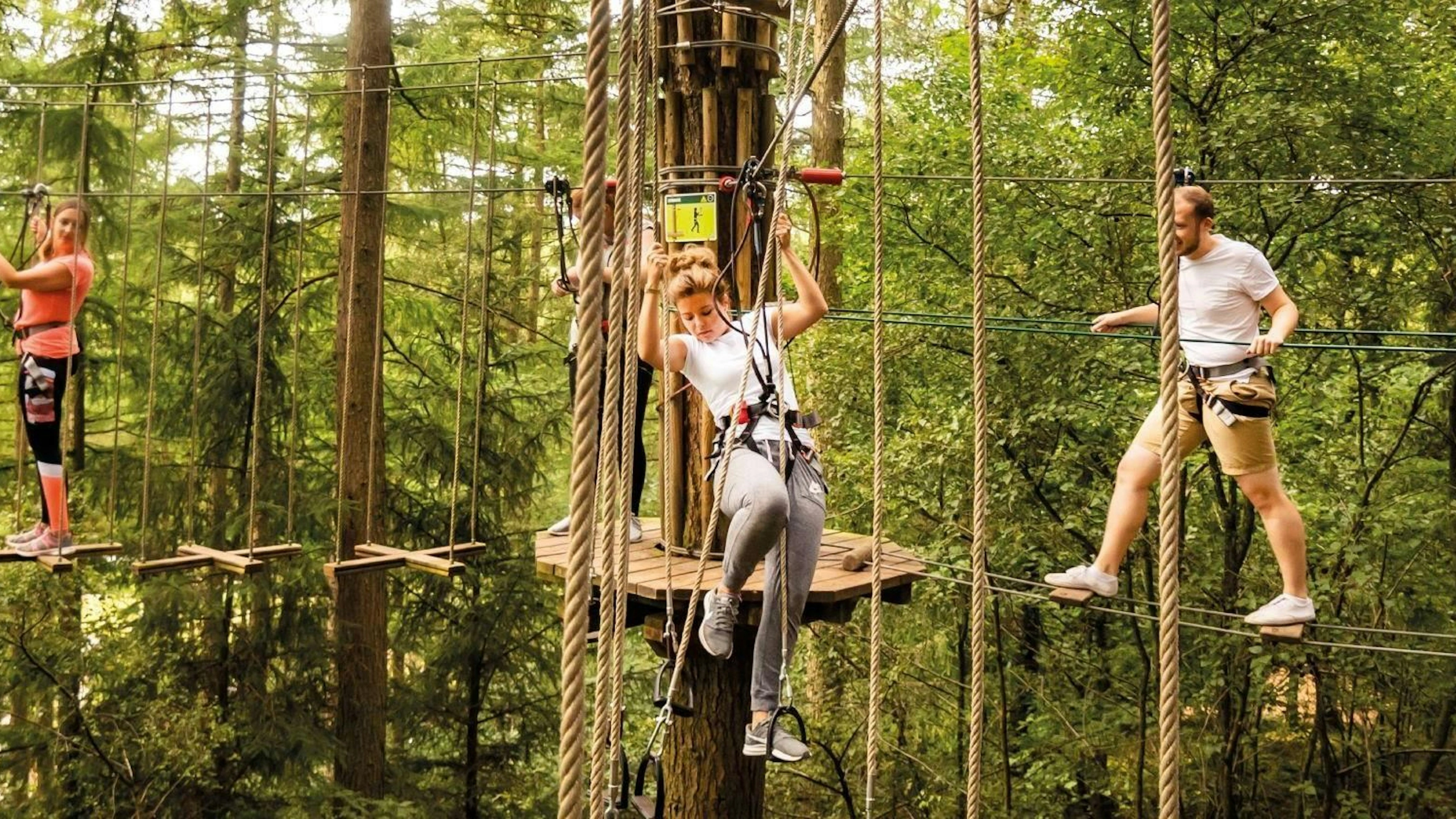 Experiences, Tourism & Attractions